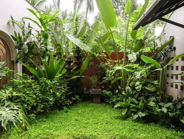 Outdoor Living